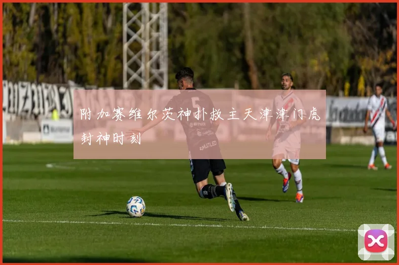 附加赛维尔茨神扑救主天津津门虎封神时刻