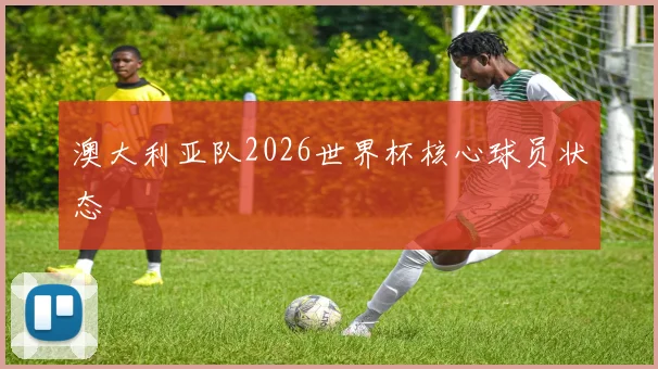 澳大利亚队2026世界杯核心球员状态