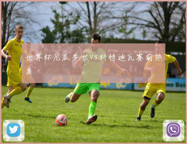 世界杯厄瓜多尔vs科特迪瓦赛前热度
