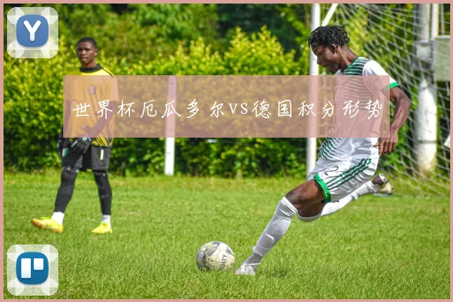 世界杯厄瓜多尔vs德国积分形势
