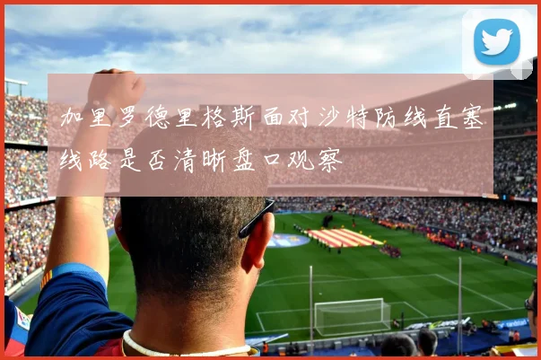 加里罗德里格斯面对沙特防线直塞线路是否清晰盘口观察