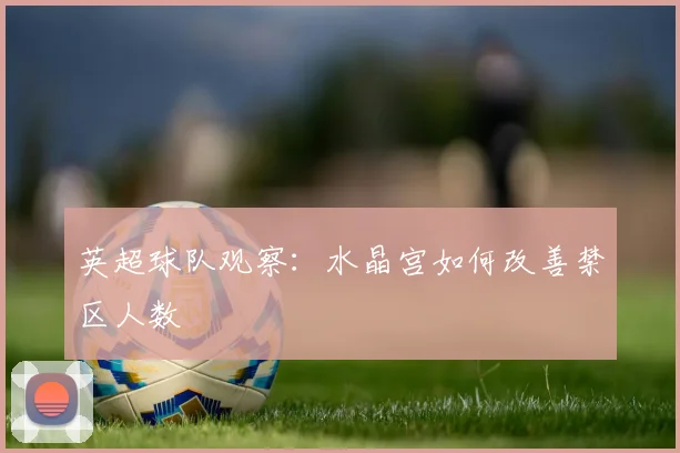 英超球队观察:水晶宫如何改善禁区人数